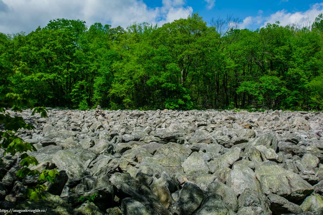 river of rocks clearing